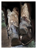 Boots 'N Spurs V Art by Barry Hart