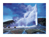 Old Faithful Posters by Paco Young