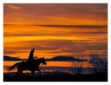 Ropin' at Sunset Prints by Bobbie Goodrich
