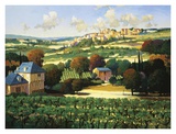 Vineyards of Provence Posters by Max Hayslette