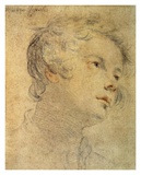 Head of a Youth Posters by Matteo Rosselli