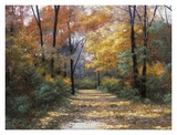 Route d'automne Affiches par Diane Romanello