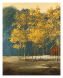 Blue Sage Valley Posters par Thomas Andrew