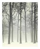 Ink and Snow Art by Irene Suchocki