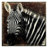 Portrait de Zebre Prints by Arietta Braun