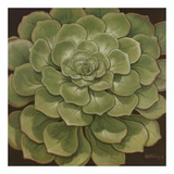 Succulent I Posters par Janet Kruskamp