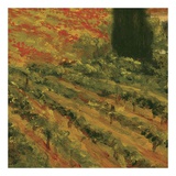 Poppies of Toscano II, no. 10 Kunstdruck von Art Fronckowiak