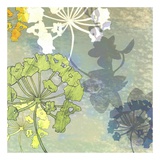 Wildflower Textures Poster von Jan Weiss
