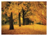 Gold of Autumn East Prints by M. Ellen Cocose