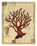 Red Coral I Prints