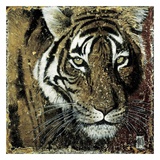 Portrait de Tigre Print by Arietta Braun
