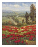 Poppy Vista II Poster by Hulsey 