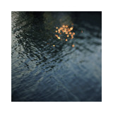 Citrine Posters av Alicia Bock Citrine Posters av Alicia Bock