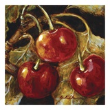 Sweet Cherries I Affiches par Nicole Etienne