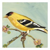 Bird Square I Print by Suzanne Etienne