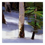 Majestic Winter (detail no. 5) Poster by Kent Wallis
