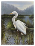 Morning Egret Prints by Kilian 