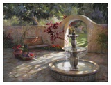 Fountain Prints by Jan McLaughlin