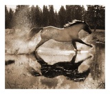 Running on Water III Art by Robert Dawson
