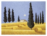 Cypress and Hay Prints by Lowell Herrero