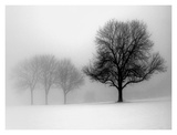 Winter Trees I Prints by Ilona Wellmann