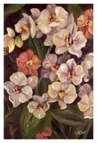 Orchidées II Art par Shari White