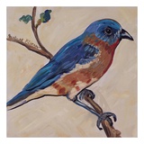 Bird XII Affiches par Suzanne Etienne
