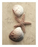 Seaside Collection I Reprodukcje autor Heather Johnston Seaside Collection I Reprodukcje autor Heather Johnston