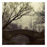 Fairytale of New York Kunstdrucke von Irene Suchocki