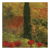 Poppies of Toscano II, no. 9 Kunstdrucke von Art Fronckowiak