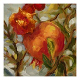 Seasonal Pomegranate II Posters par Nicole Etienne