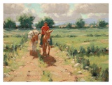Michoacan Prints by Roger Williams