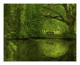 Another Green World Prints by Irene Suchocki