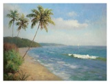 Palma de la Playa Prints by Karen Dupré