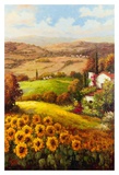 Italian Countryside Prints by Hulsey 