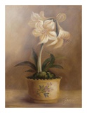 Olivia's Flowers IV Posters by Cheovan 