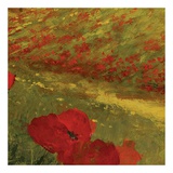 Poppies of Toscano II, no. 15 Posters af Art Fronckowiak Poppies of Toscano II, no. 15 Posters af Art Fronckowiak