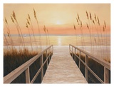 Walkway to Sea Láminas por Diane Romanello