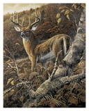 Duke of Autumn Posters par Duane Geisness