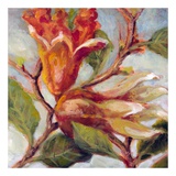 Seasonal Pomegranate III Art par Nicole Etienne