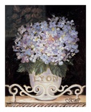 Hydrangeas of Lyon Art by Shari White
