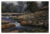 Quietly Through the Rocks Posters av Bruce Braithwaite