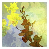 Orchid Shadows II Poster von Jan Weiss