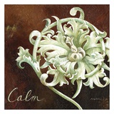 Calm Prints by Maria Woods