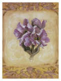 Tulipe violette Affiches par Shari White