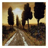Off for a Stroll Poster by Steve Thoms