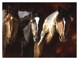 Compadres Posters by Bobbie Goodrich