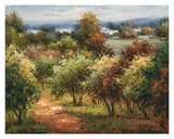 Sun Dappled Country Road Posters by Hulsey 