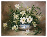 Blanc de printemps Affiches par Ralph Steiner