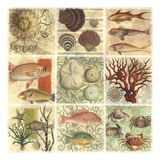 Under The Sea I Posters Under The Sea I Posters